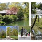 ..der Englische Garten in München..