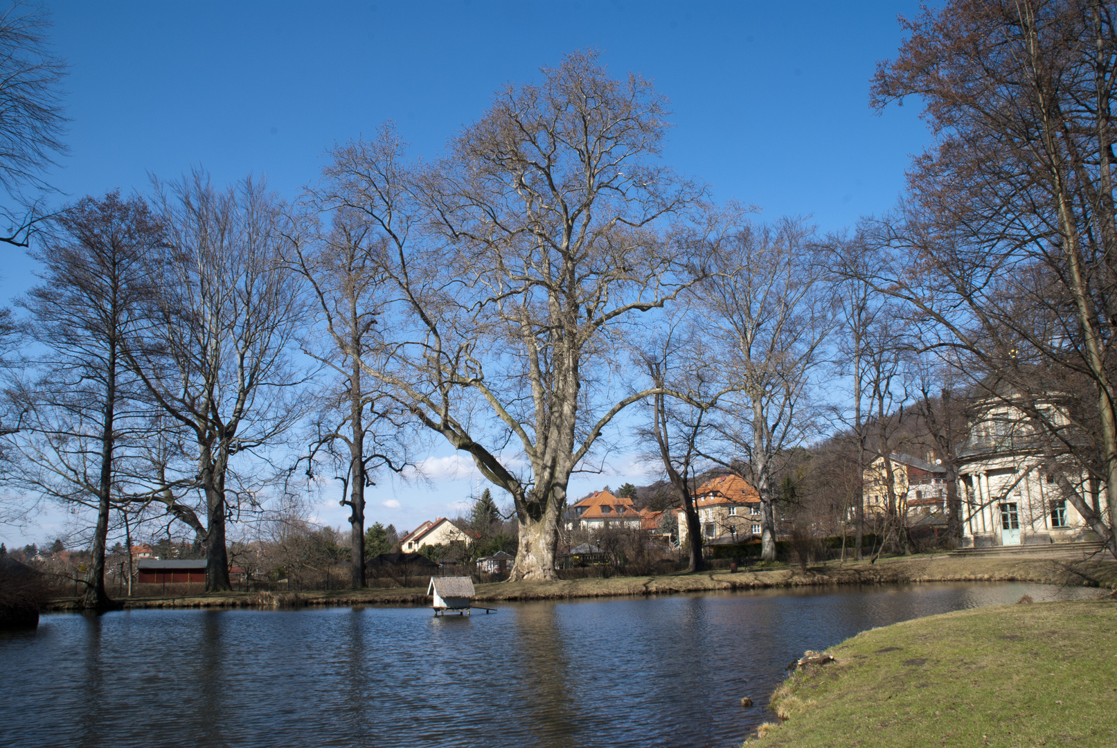 Der Englische Gartenteil in Pillnitz