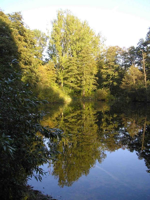 Der Ententeich im Stadtpark