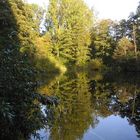 Der Ententeich im Stadtpark