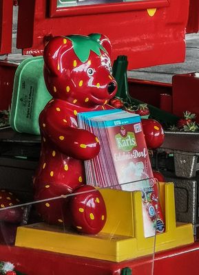 Der (Erd) Bär ist los.