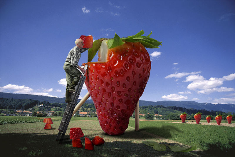 Der Erdbeerbauer