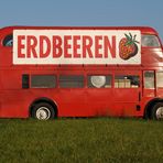 Der Erdbeerbus