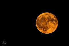 *** Der "Erdbeermond" *** 