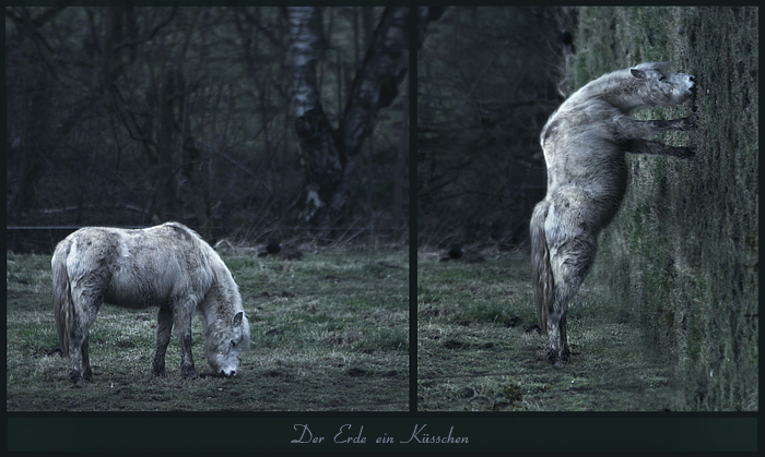 Der Erde ein Küsschen by Radi Polgo