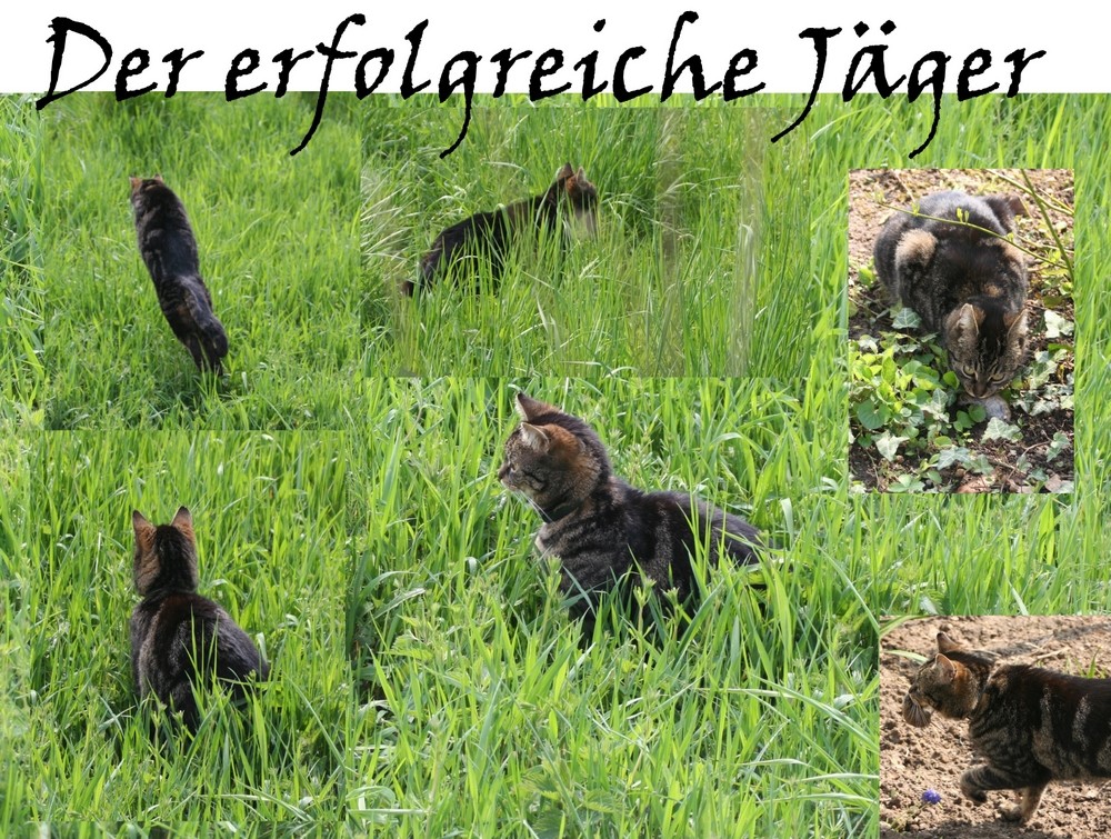 Der erfolgreiche Jäger