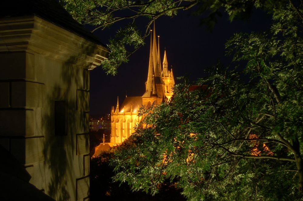 Der Erfurter Dom