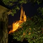 Der Erfurter Dom