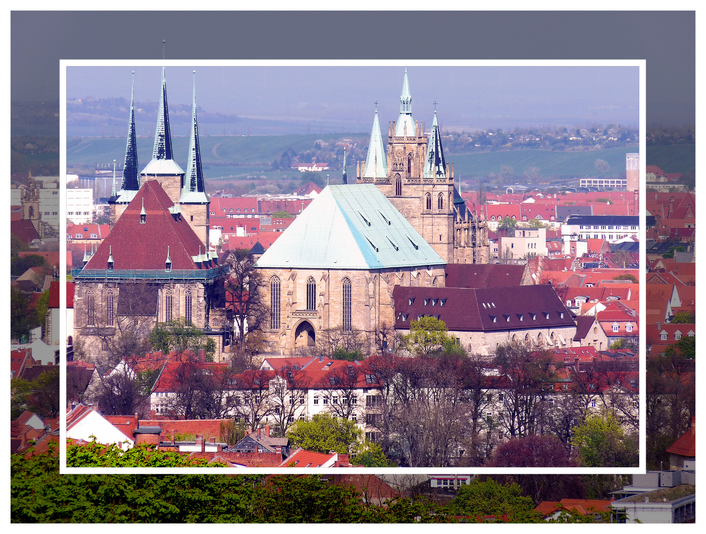 Der Erfurter Dom und St. Severi von der ega aus fotografiert