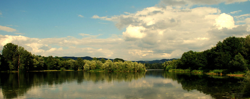 Der Erlensee