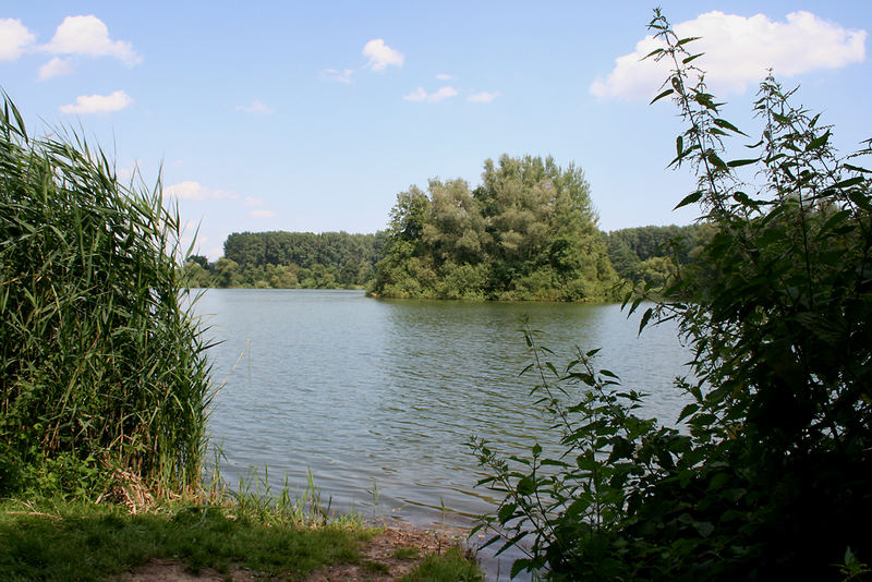 Der Erlensee