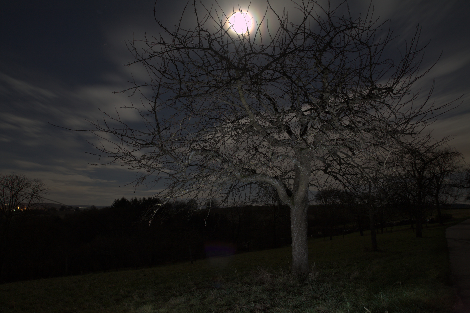 Der erleuchtete Baum