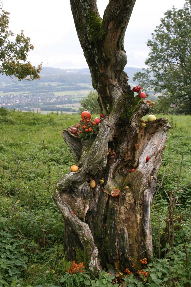 Der Erntedankbaum