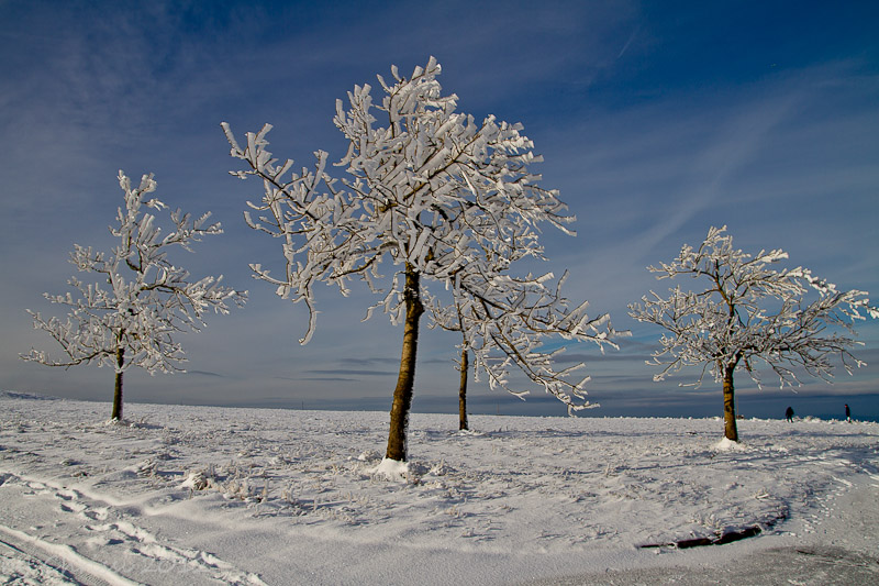 Der erset Schnee