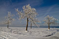 Der erset Schnee