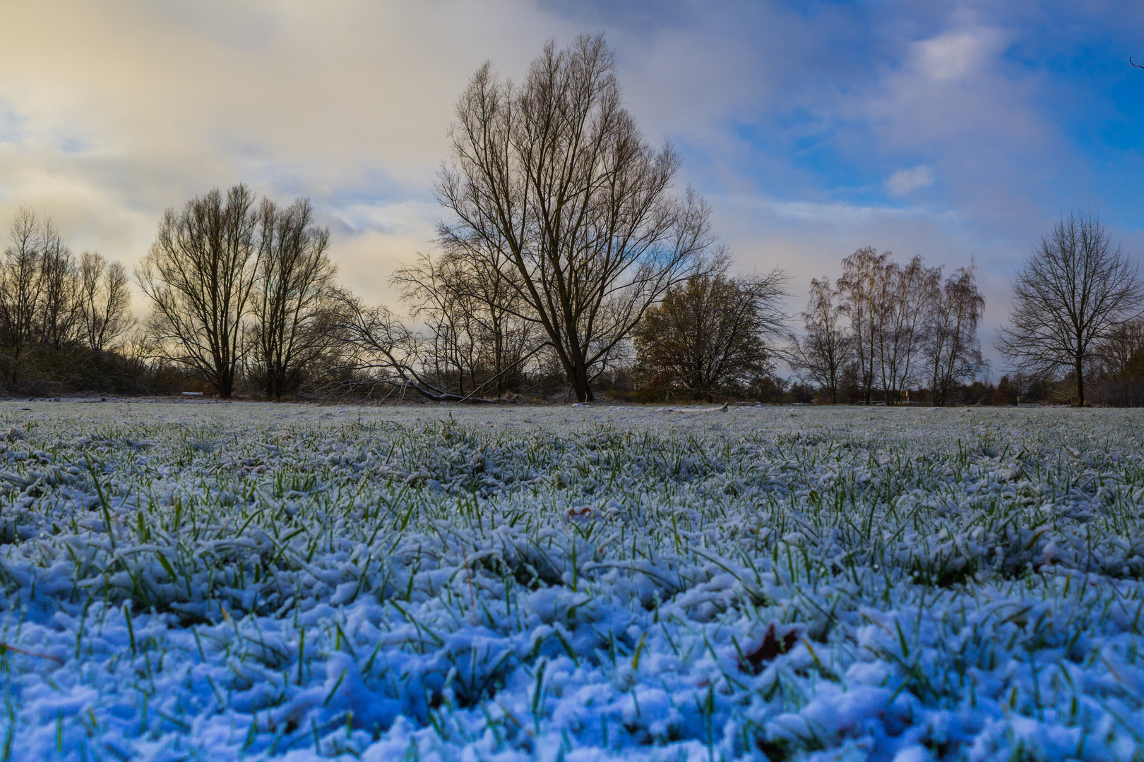 Der erst Schnee 2015 3