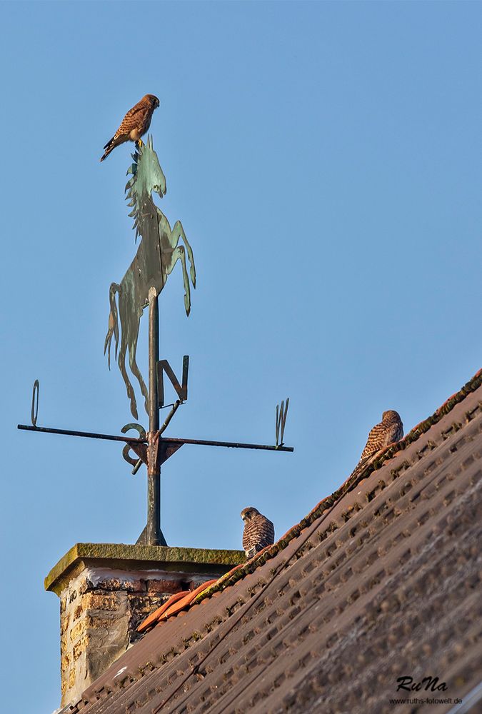 Der erste Ausflug