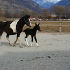 der erste Ausgang!!!