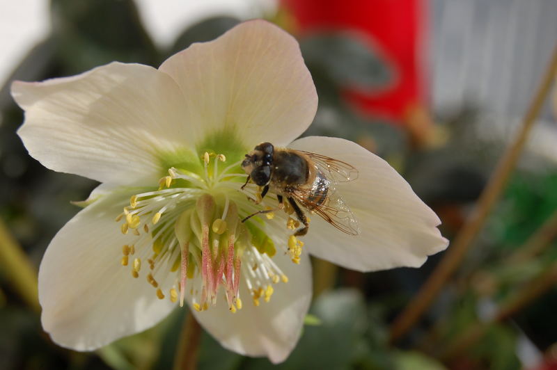 Der erste Besuch