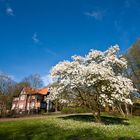 Der erste blaue Himmel im April