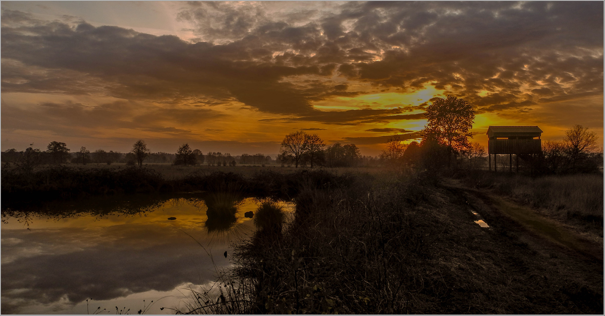 Der erste Bodennebel steigt auf  im Moor   . . .