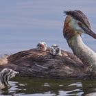 Der erste eigene Ausflug ...