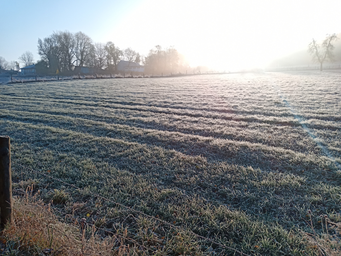 Der erste Frost