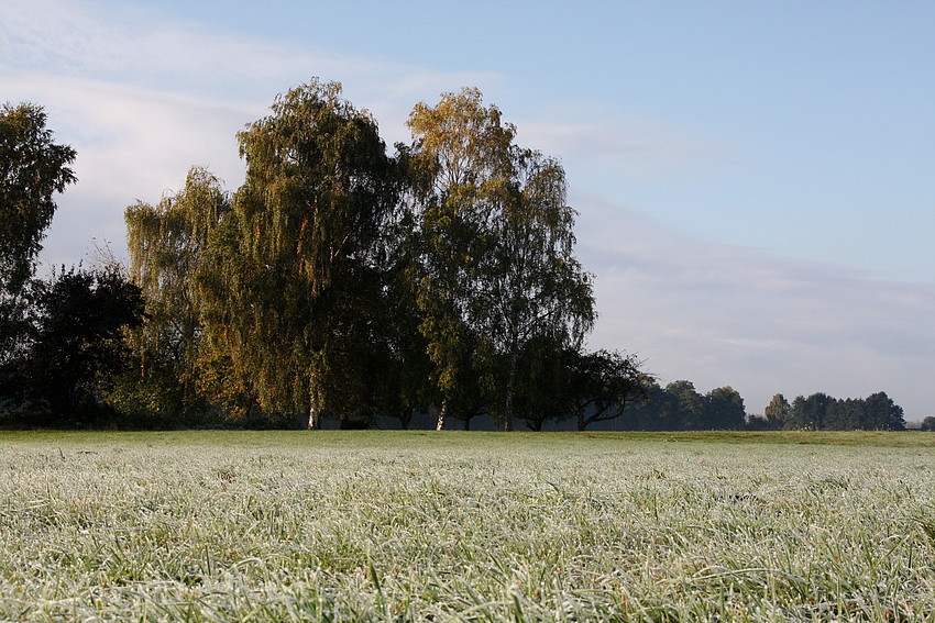 Der erste Frost