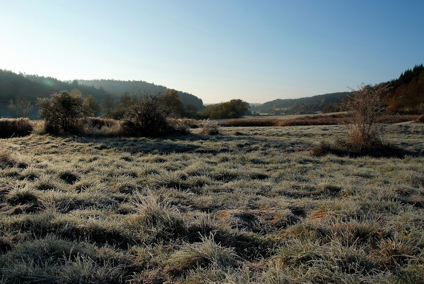 Der erste Frost