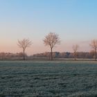 Der erste Frost