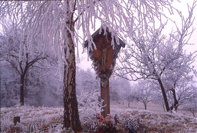 "Der erste Frost" von Franz Schaffernak