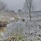 Der erste Frost