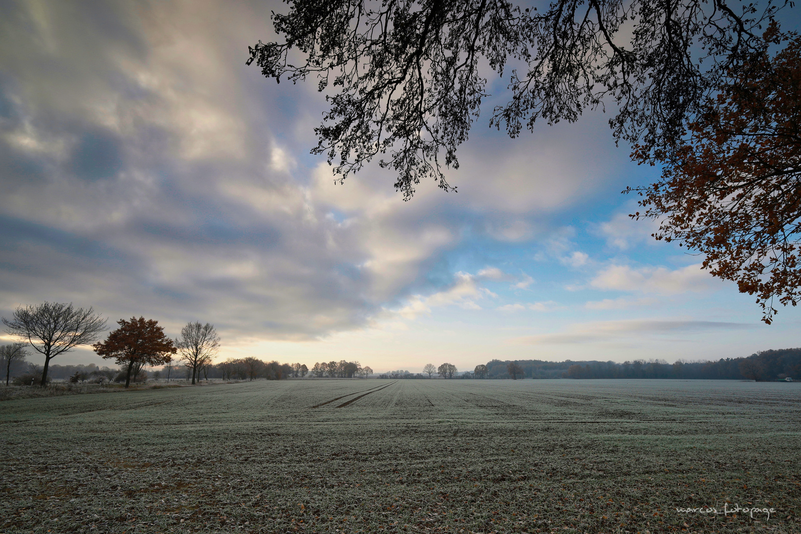 Der Erste Frost