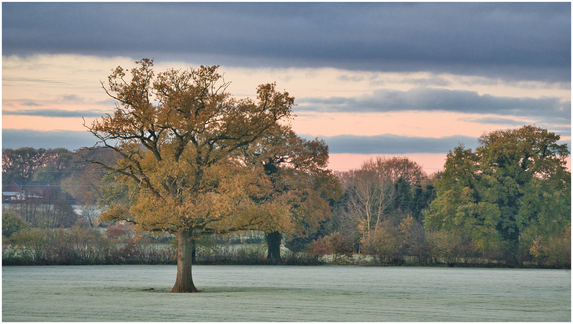 der erste Frost