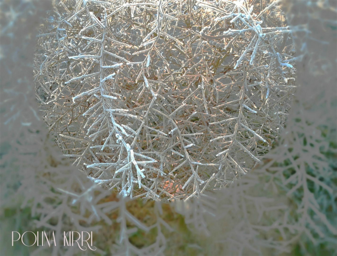 der erste Frost