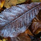 Der erste Frost