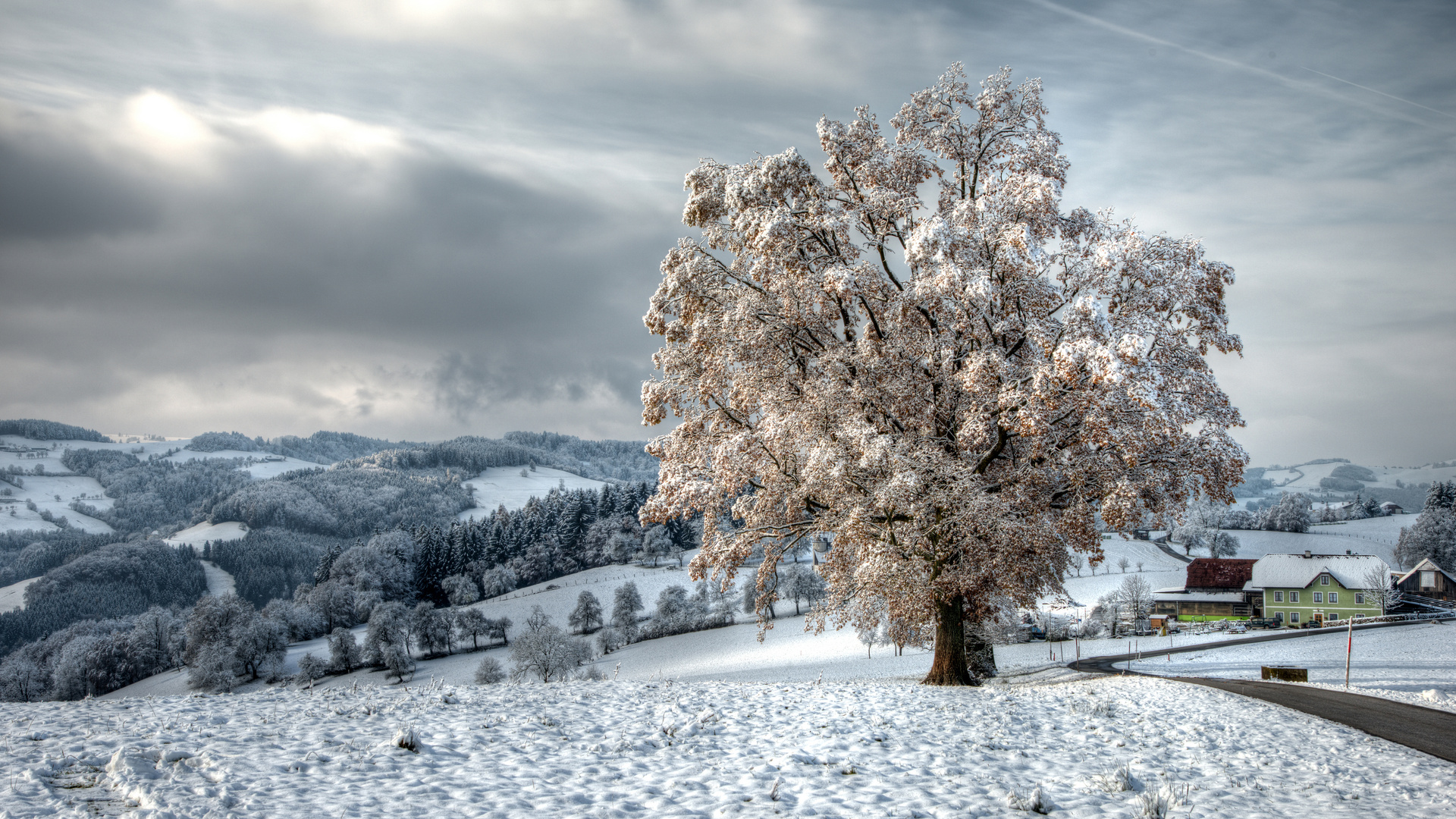 Der erste Frost