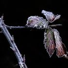 "Der erste Frost"