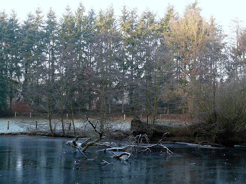 Der erste Frost