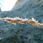 Der erste Frost....