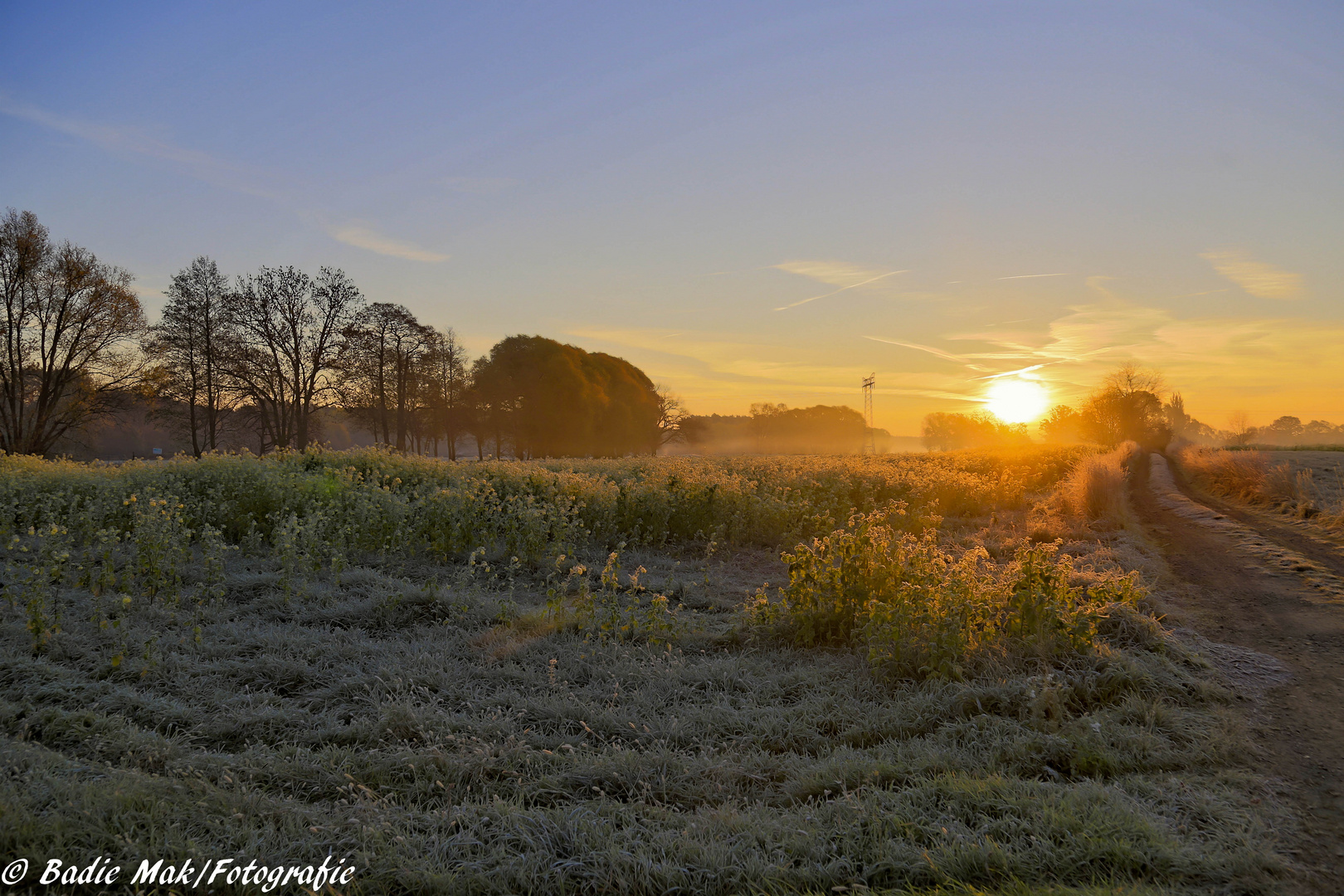 der erste Frost