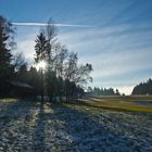 Der erste Frost