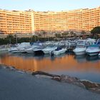 Der erste Frost hier in Cannes-Marina !!!!