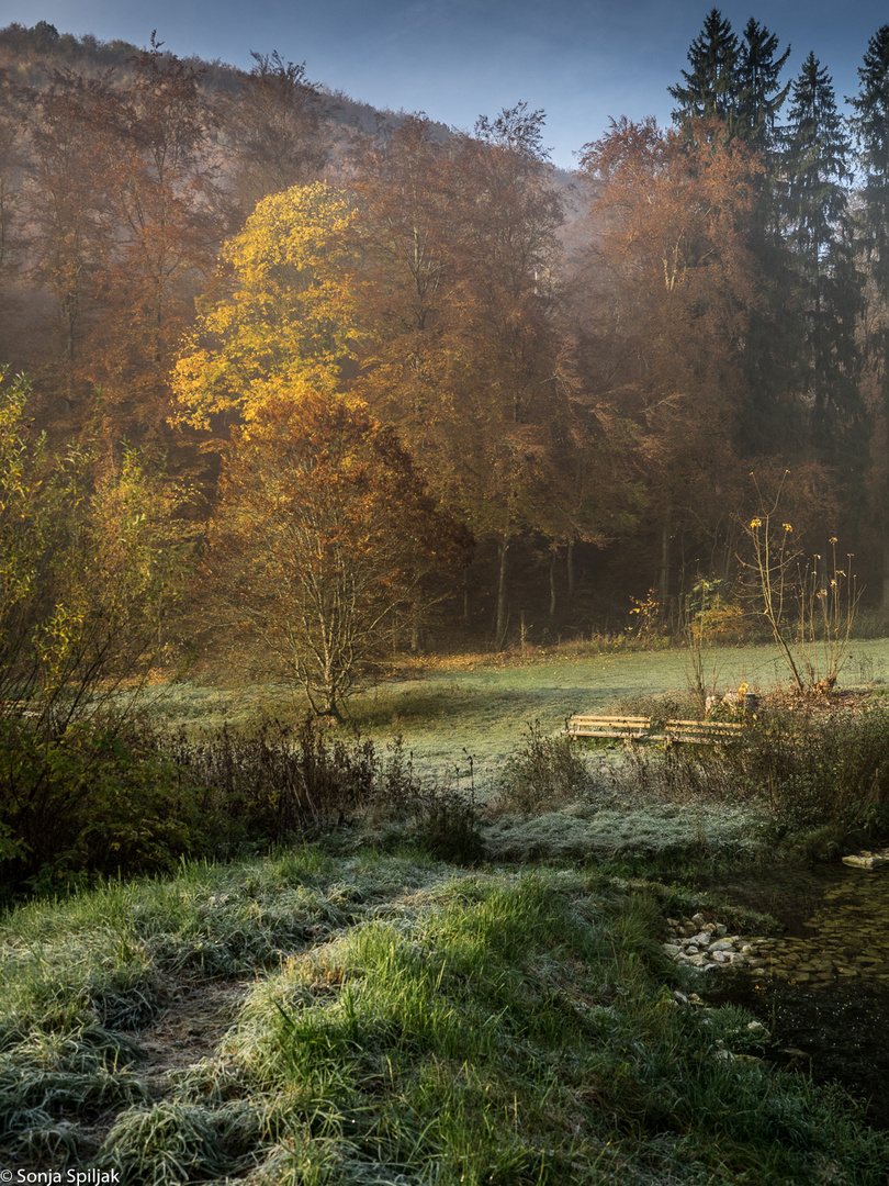 Der erste Frost im Kaltental