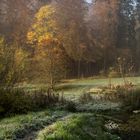 Der erste Frost im Kaltental