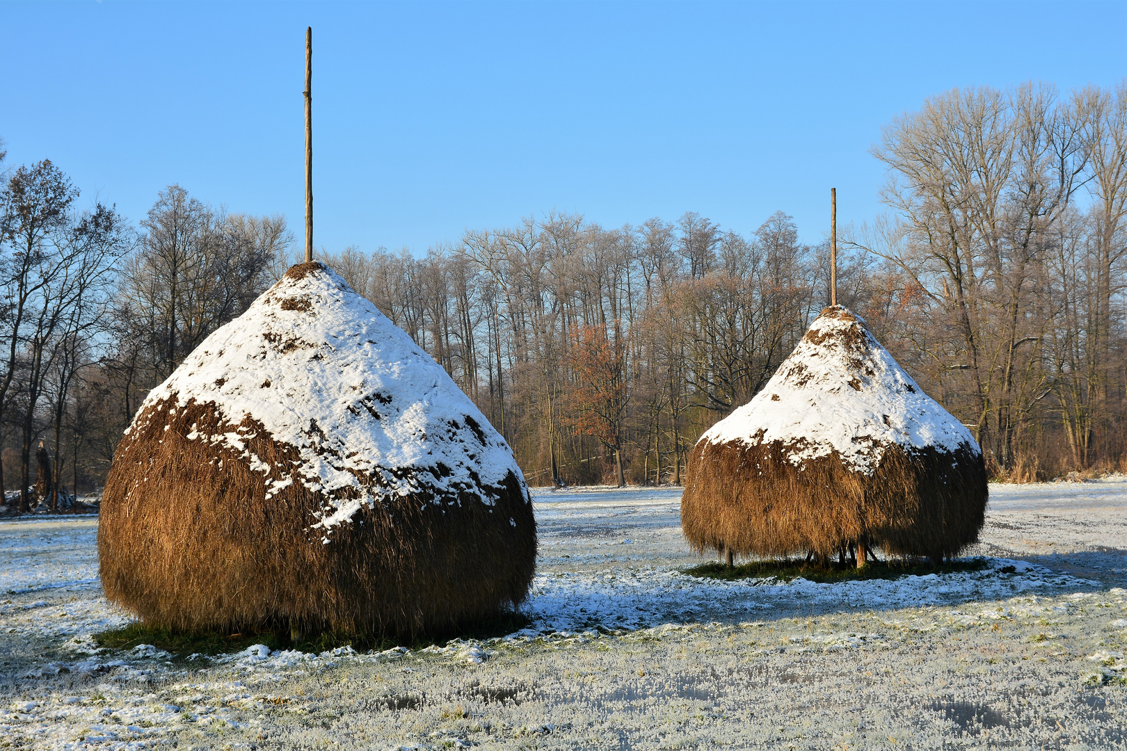 Der erste Frost im Spreewald