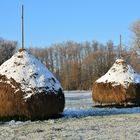 Der erste Frost im Spreewald