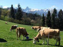 Der erste Frühlings-Auslauf