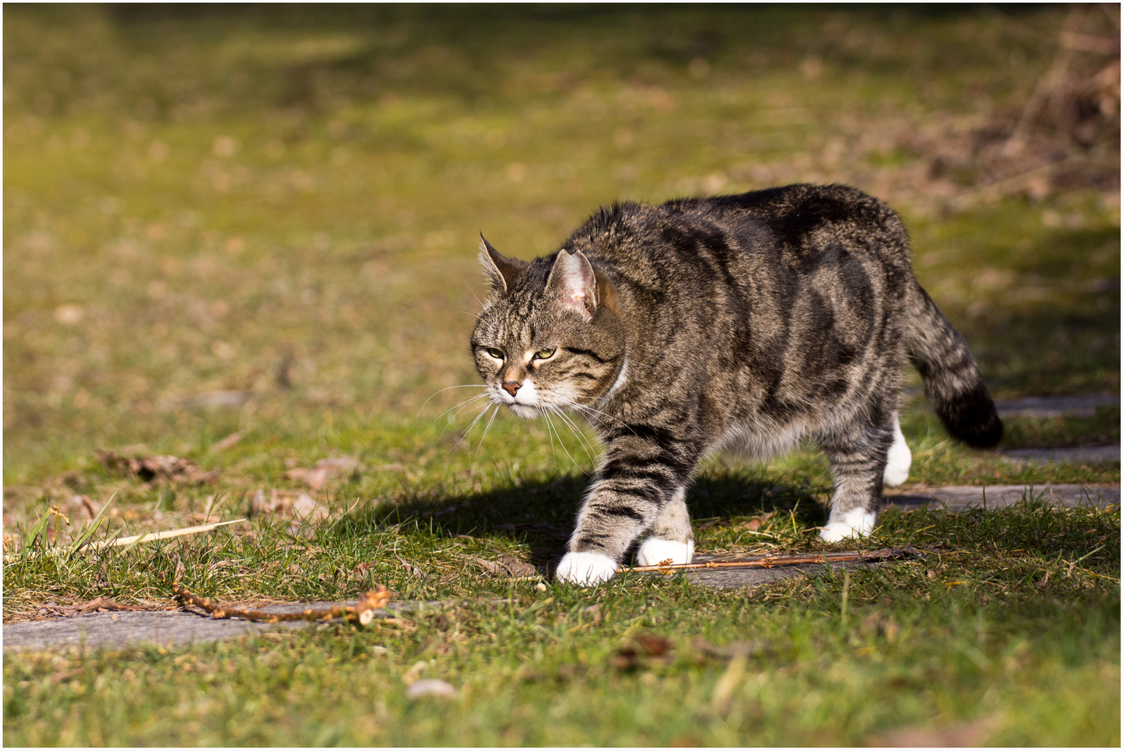 Der erste Frühlingsspaziergang