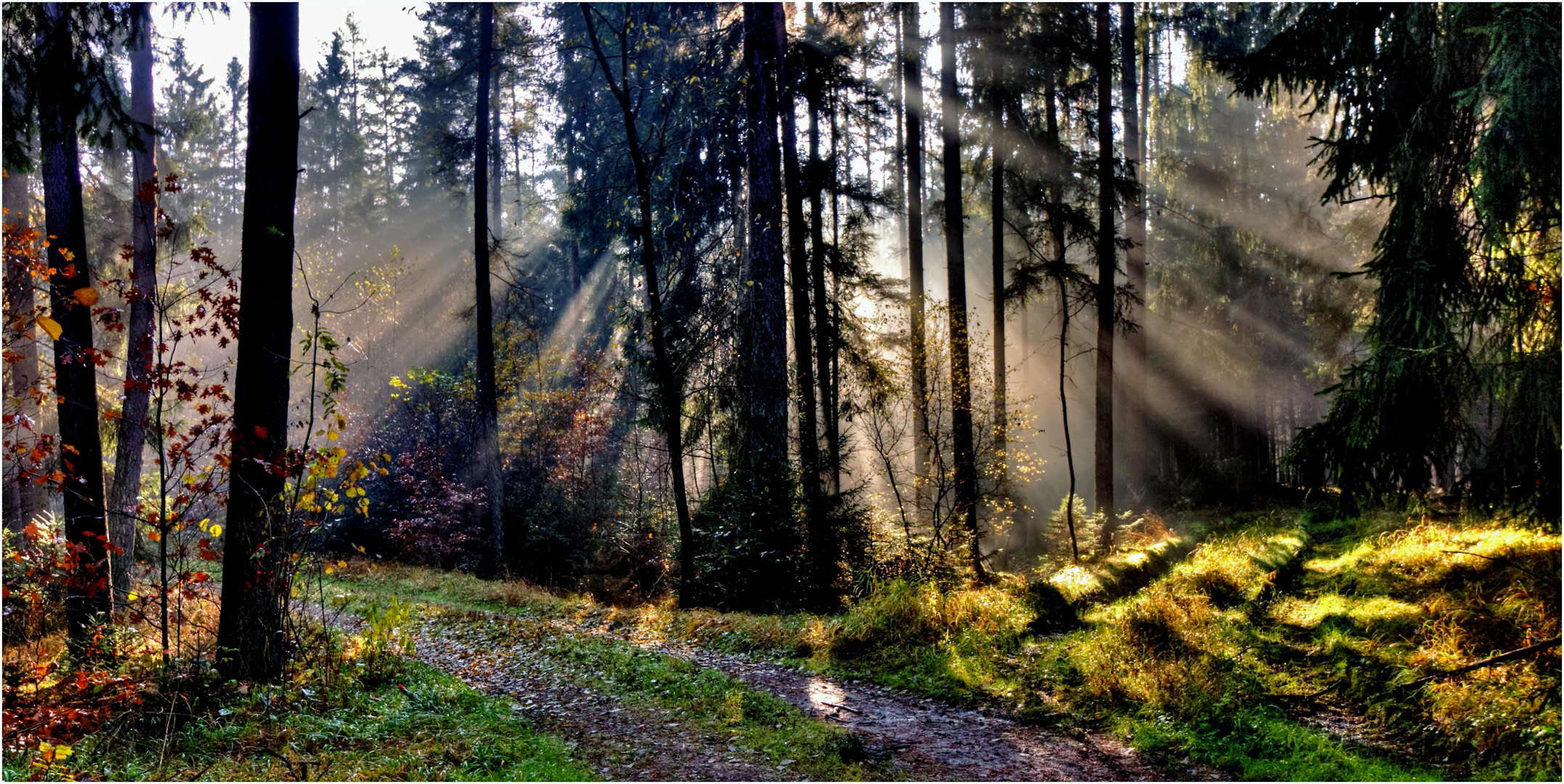 Der erste Frühnebel im Herbst.